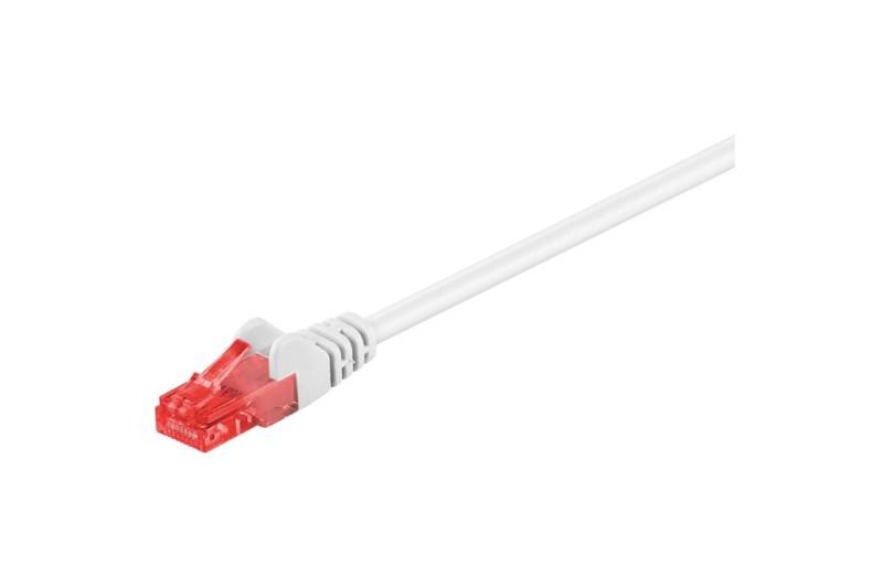 Latiguillo Cat 6 UTP 0,25mts, color blanco